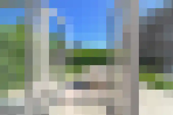 Wintercyclaam 6 Nootdorp thumbnail 14
