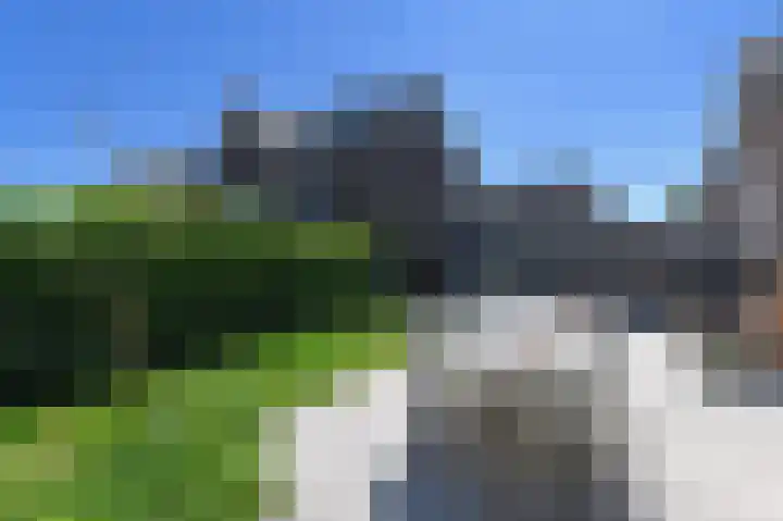 Wintercyclaam 6 Nootdorp thumbnail 15