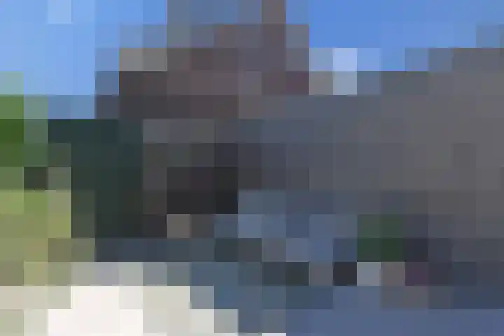 Wintercyclaam 6 Nootdorp thumbnail 16