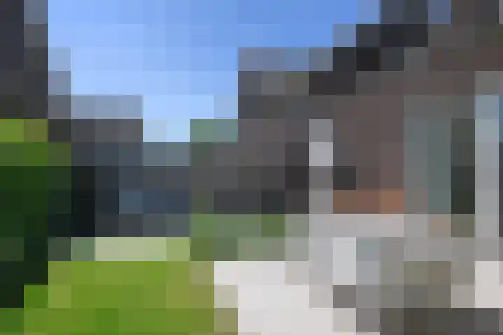 Wintercyclaam 6 Nootdorp thumbnail 20