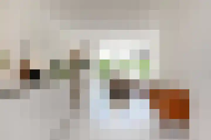 Wintercyclaam 6 Nootdorp thumbnail 34