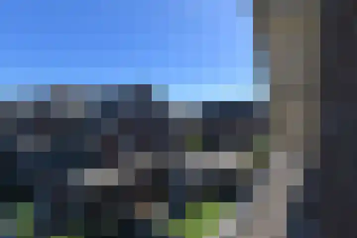 Wintercyclaam 6 Nootdorp thumbnail 59