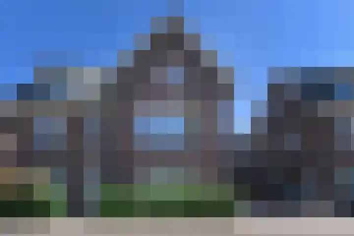 Wintercyclaam 6 Nootdorp thumbnail 7