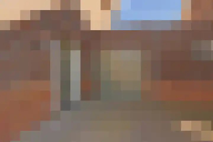 Wintercyclaam 6 Nootdorp thumbnail 9