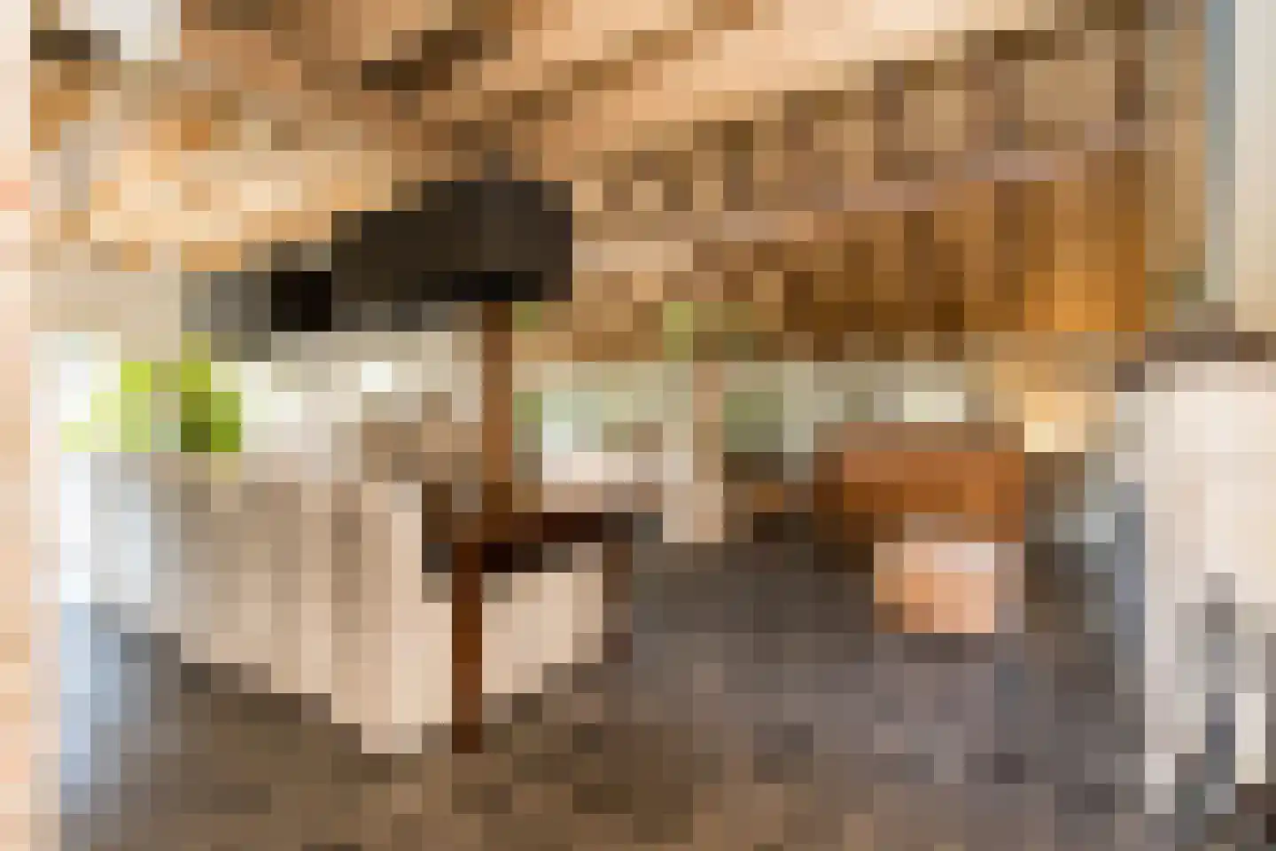 Winterdijk 16 Sprang-Capelle thumbnail 20