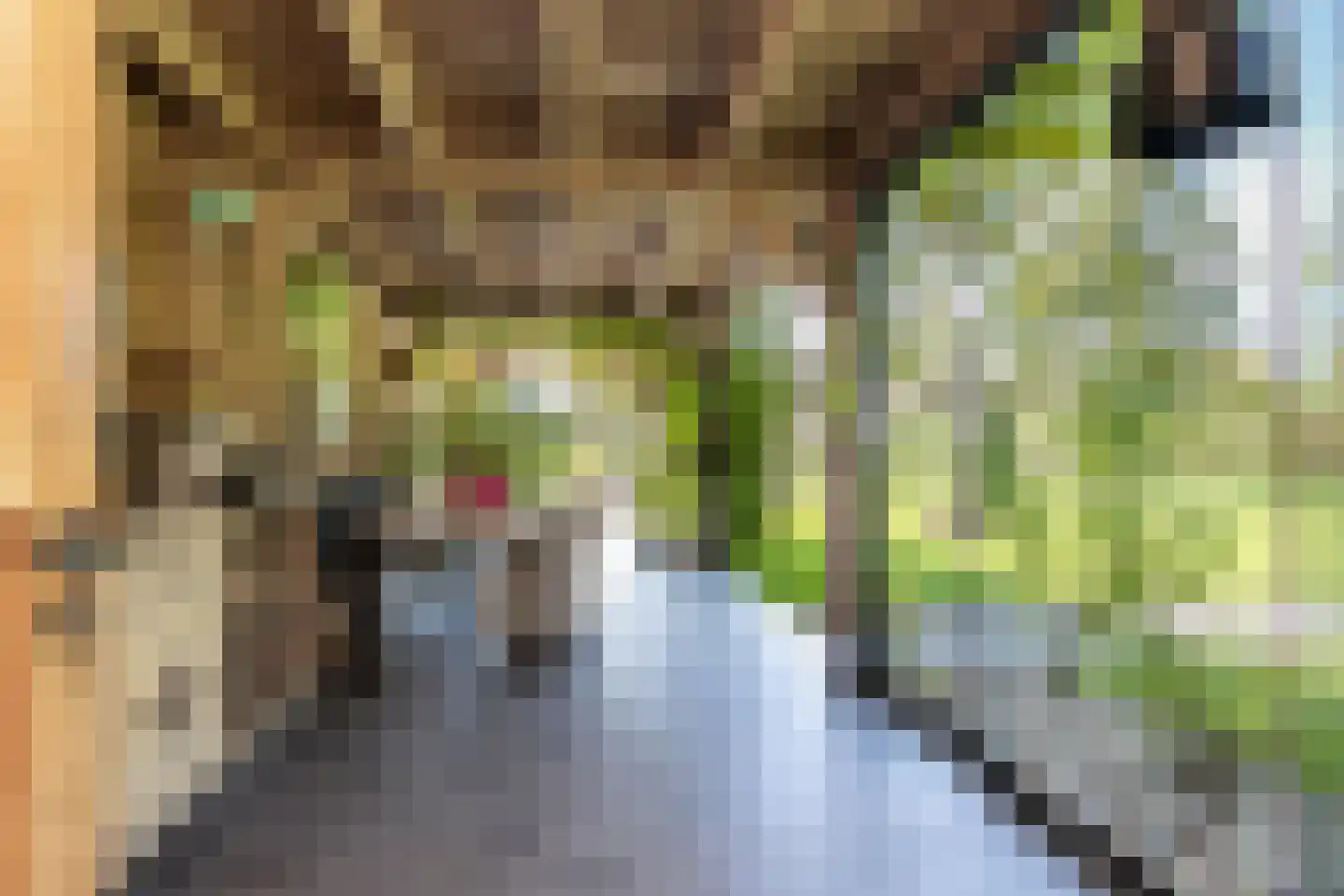 Winterdijk 16 Sprang-Capelle thumbnail 89