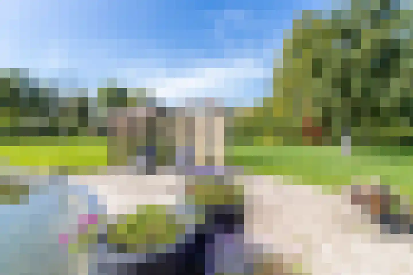 Winterdijk 16 Sprang-Capelle thumbnail 98