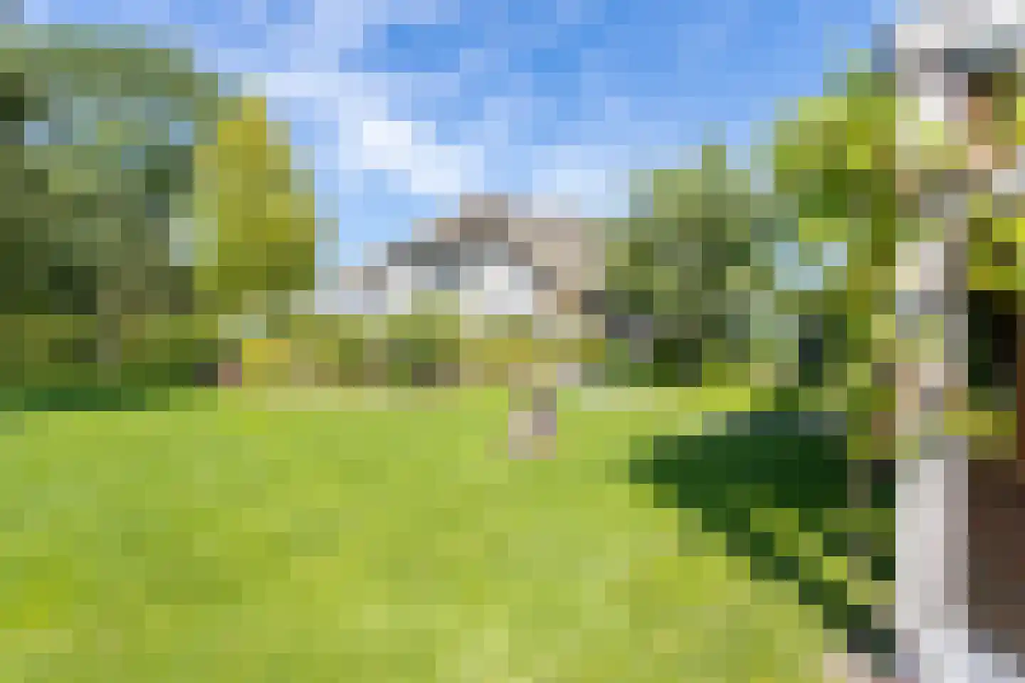Winterdijk 16 Sprang-Capelle thumbnail 99