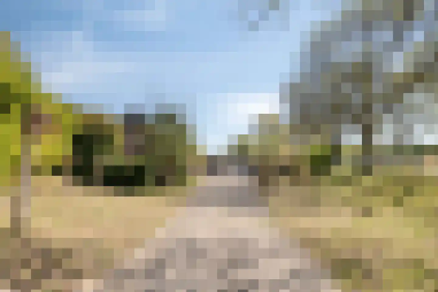Winterdijk 2 Sprang-Capelle thumbnail 34