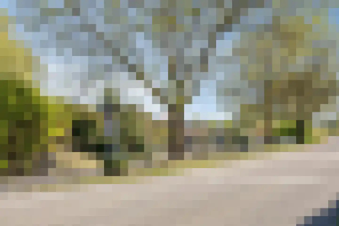 Winterdijk 2 Sprang-Capelle thumbnail 49