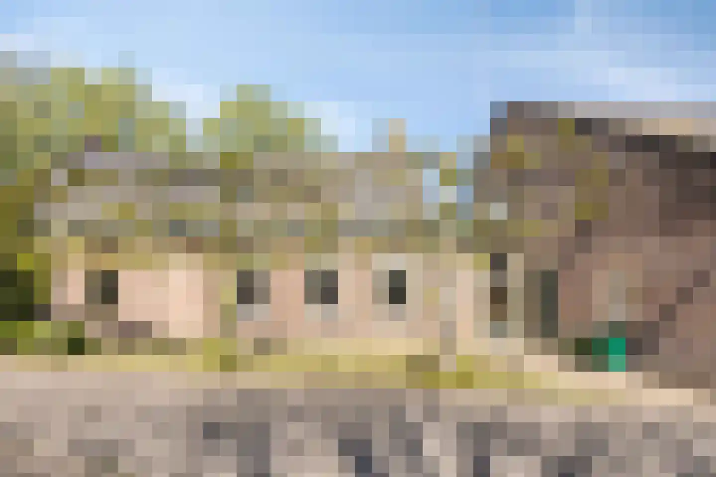 Winterdijk 2 Sprang-Capelle thumbnail 6