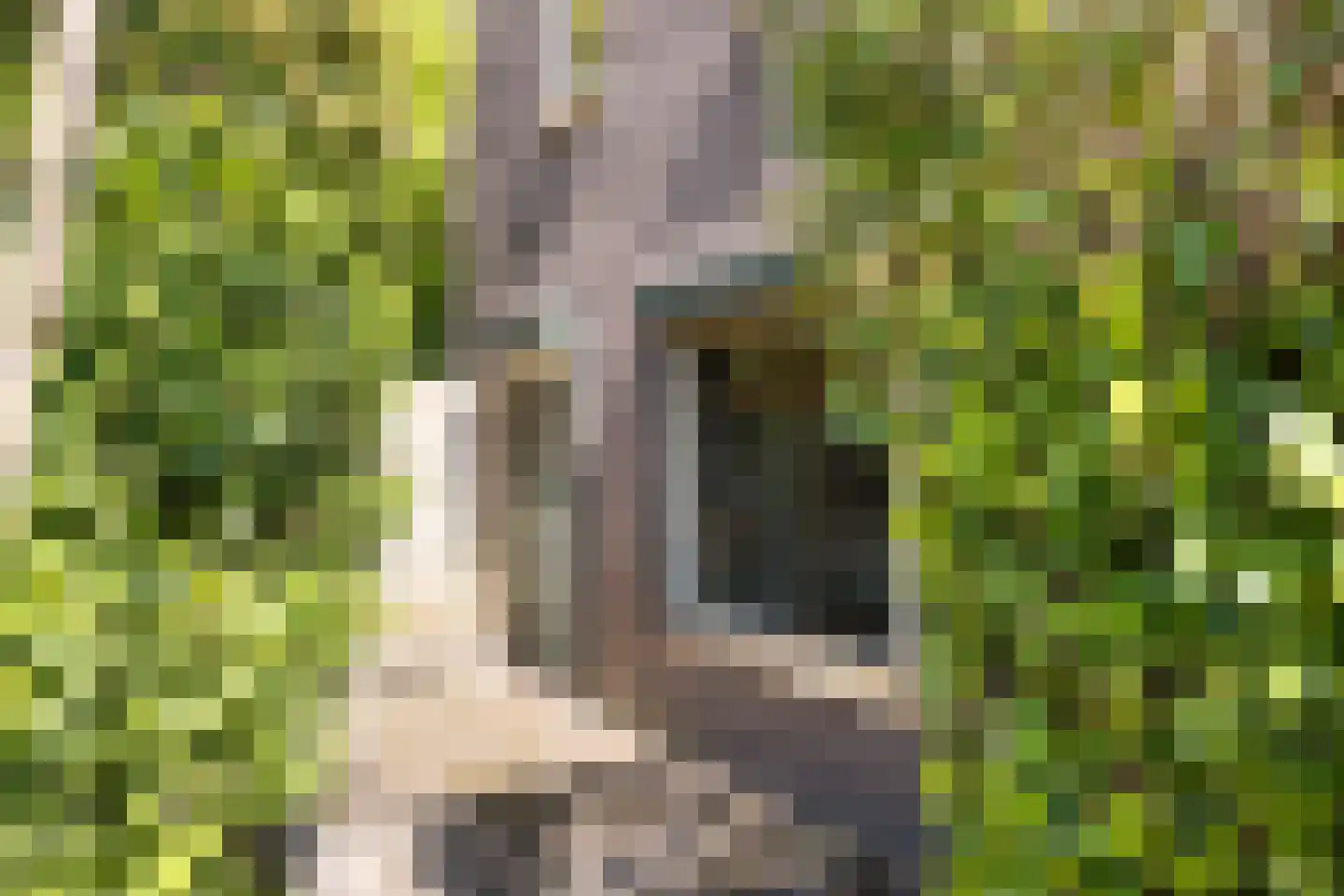 Winterdijk 2 Sprang-Capelle thumbnail 7