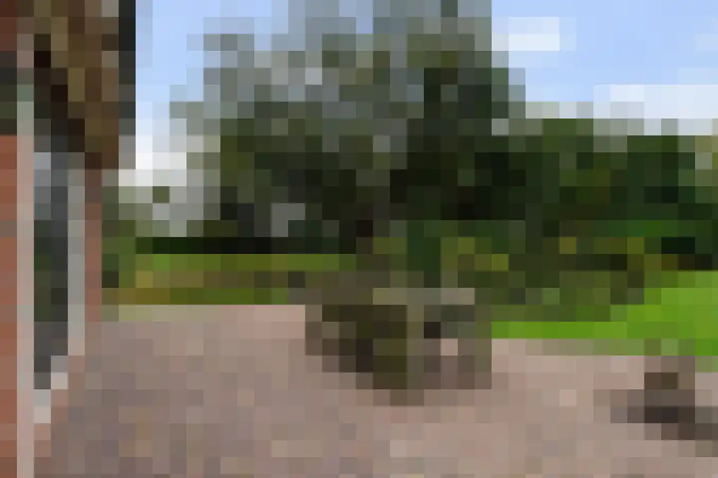 Winterdijk 21 Sprang-Capelle thumbnail 35