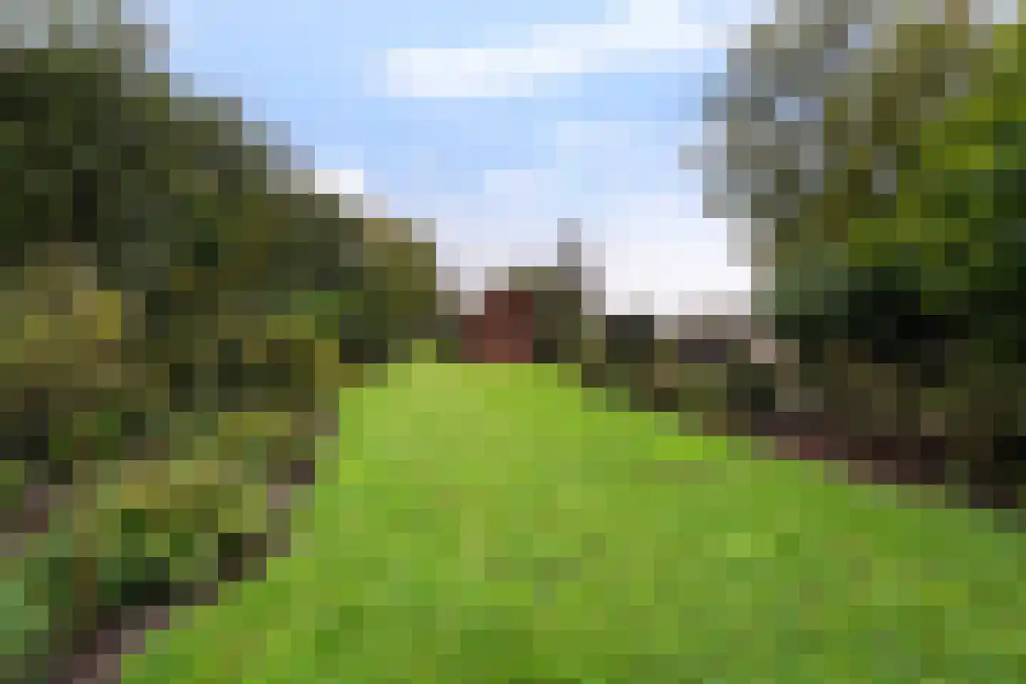 Winterdijk 21 Sprang-Capelle thumbnail 38