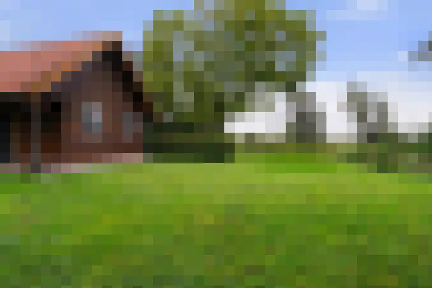 Winterdijk 21 Sprang-Capelle thumbnail 41