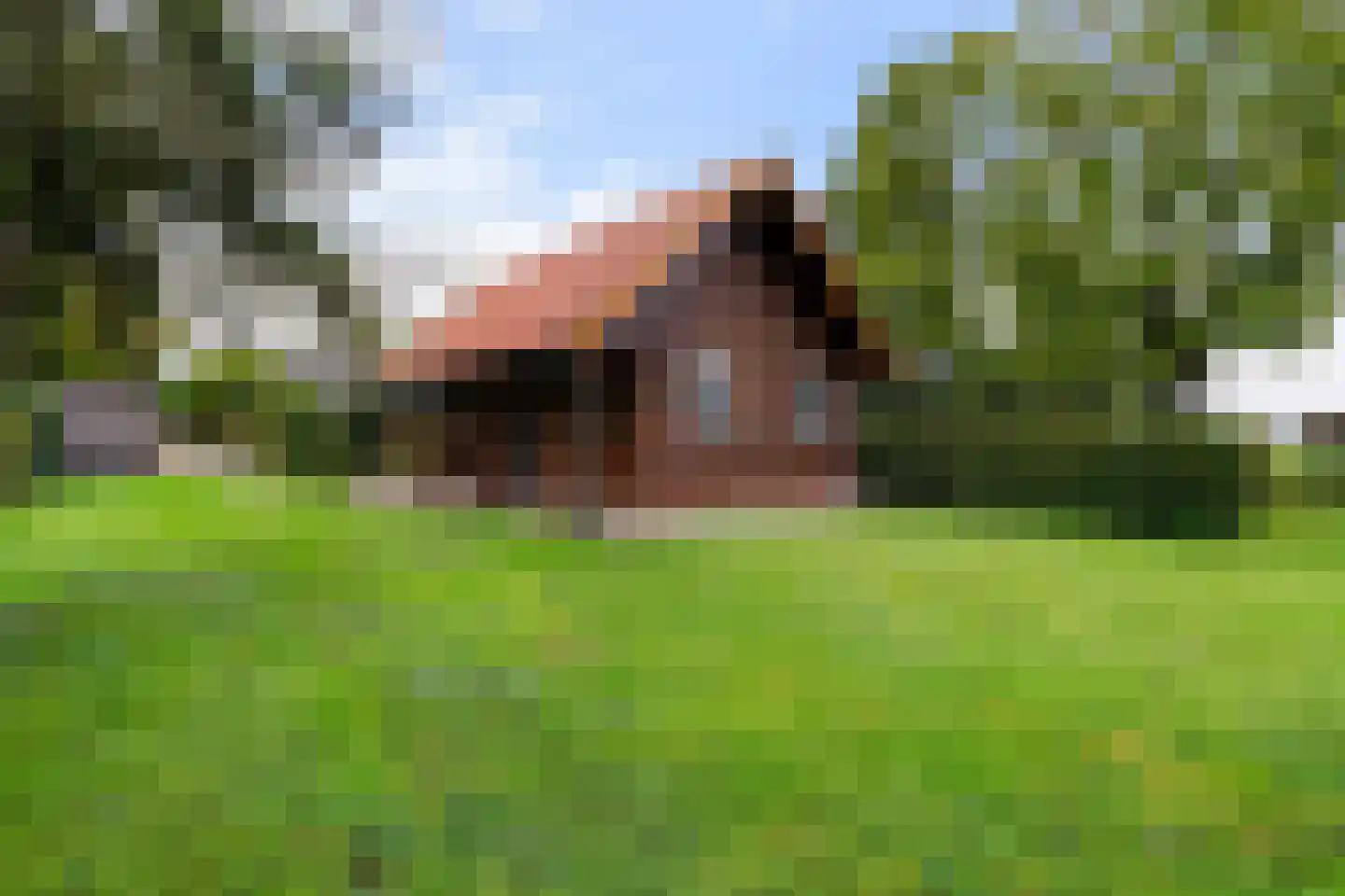 Winterdijk 21 Sprang-Capelle thumbnail 42
