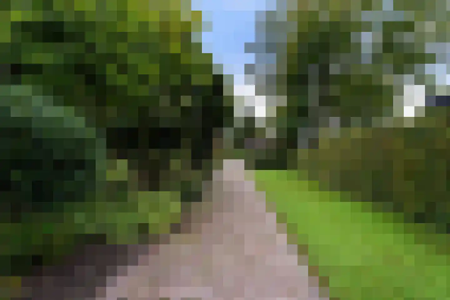 Winterdijk 21 Sprang-Capelle thumbnail 45