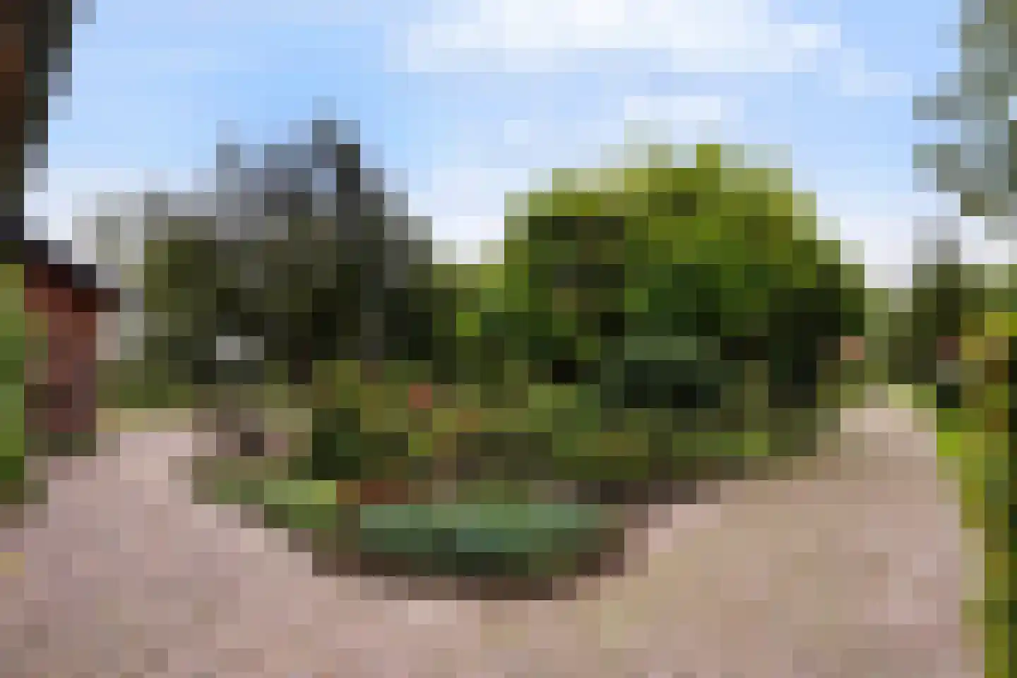 Winterdijk 21 Sprang-Capelle thumbnail 46