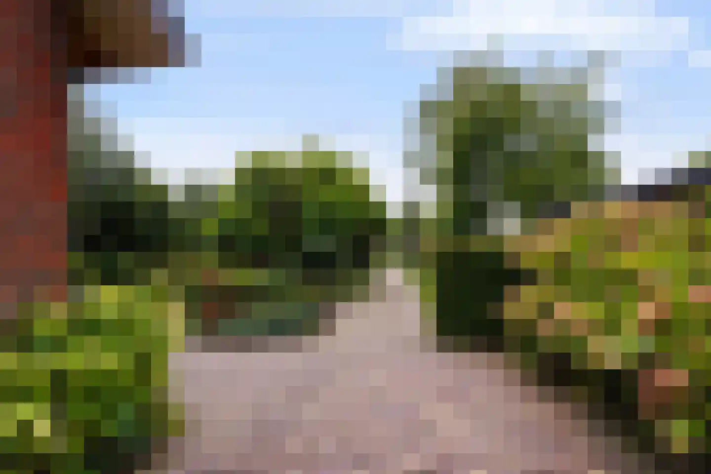 Winterdijk 21 Sprang-Capelle thumbnail 47