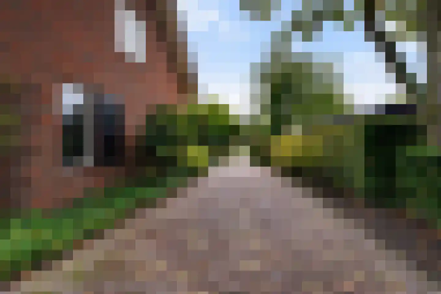 Winterdijk 21 Sprang-Capelle thumbnail 48