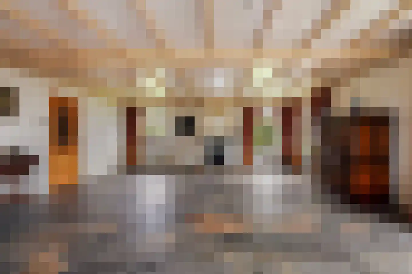 Winterdijk 21 Sprang-Capelle thumbnail 8