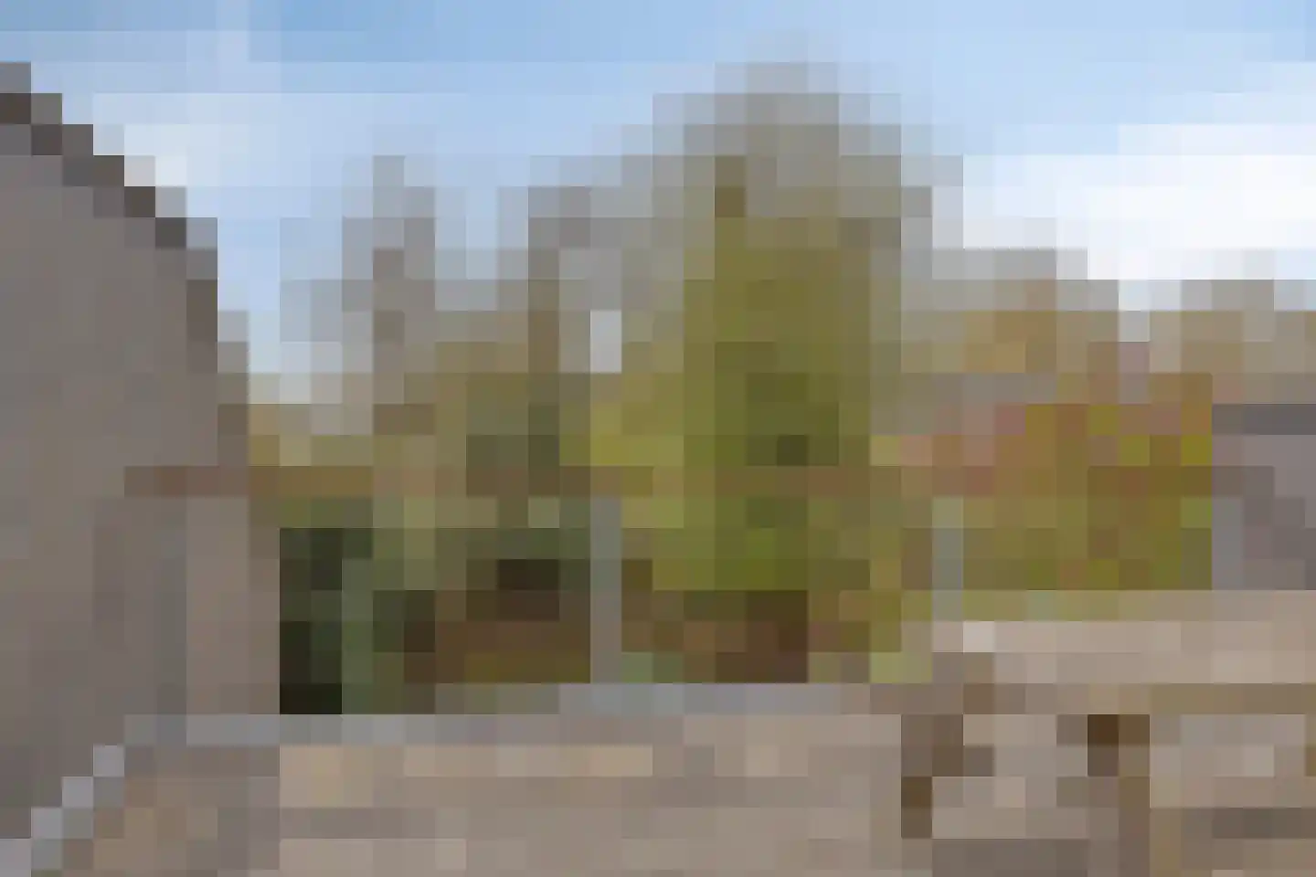 Winterdijk 3 Huissen thumbnail 23