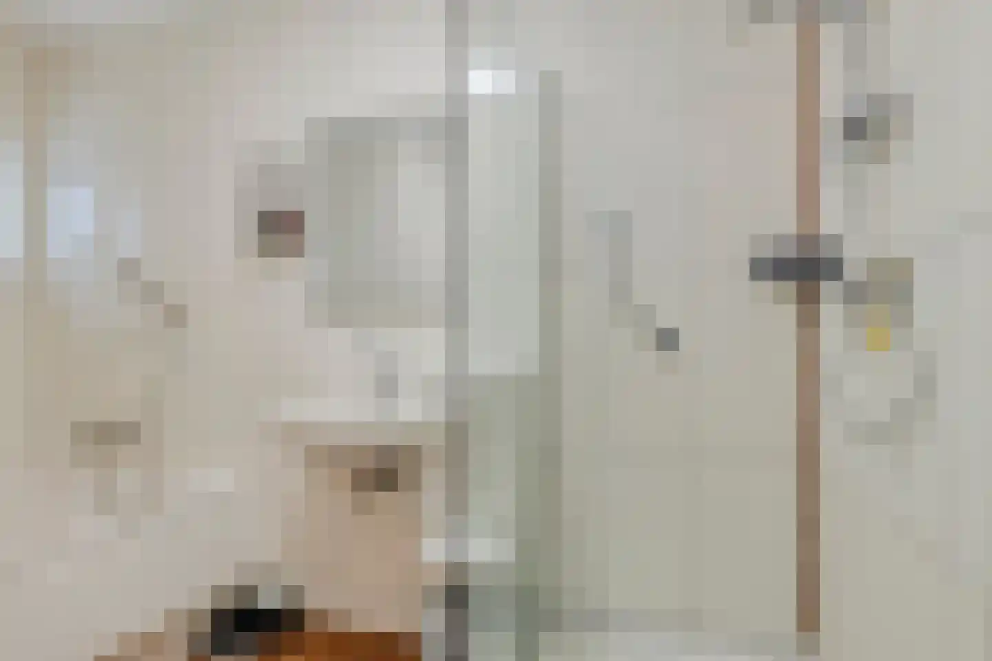 Winterdijk 3 Huissen thumbnail 48