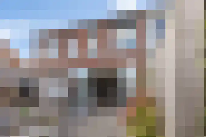 Winterdijk 30 Arnhem thumbnail 14