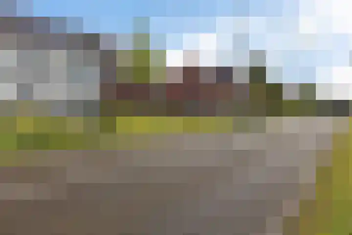 Winterdijk 30 Arnhem thumbnail 33