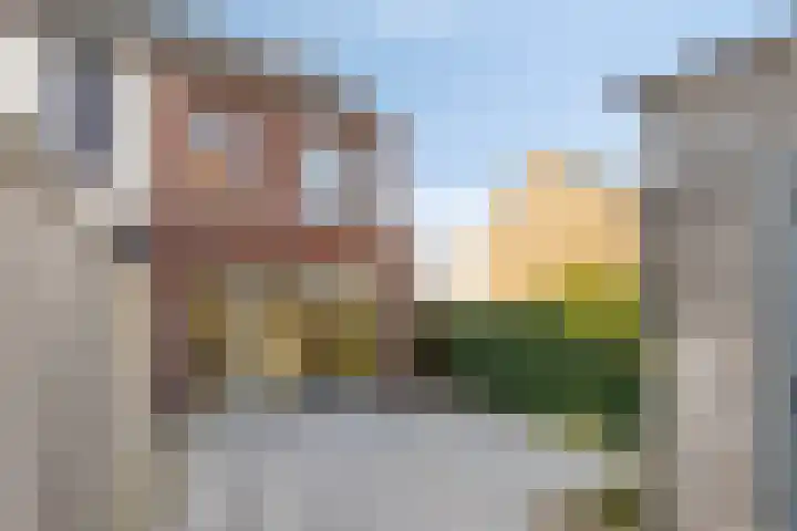 Winterdijk 48 Arnhem thumbnail 5