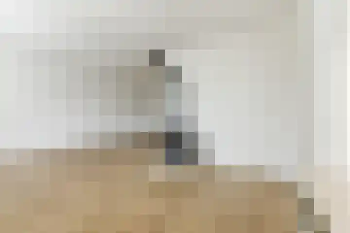 Wintereik 16 Best thumbnail 16