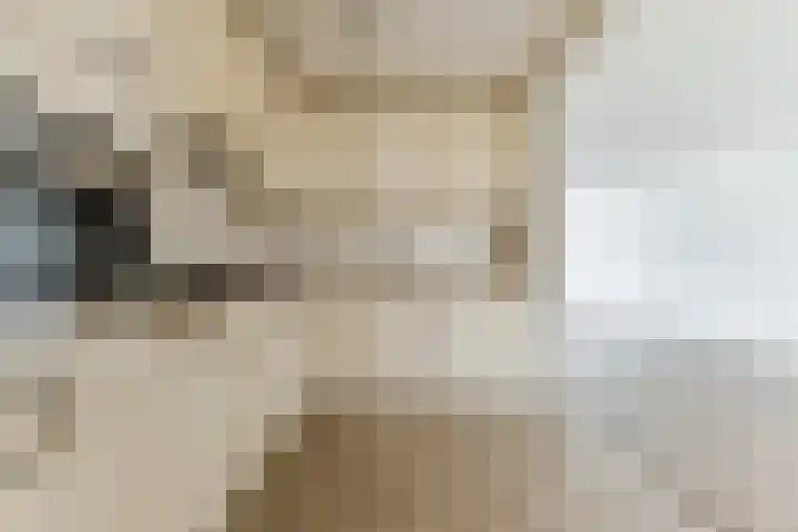 Wintereik 16 Best thumbnail 19