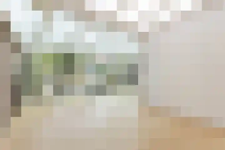 Wintereik 16 Best thumbnail 20