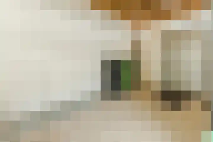 Wintereik 16 Best thumbnail 25