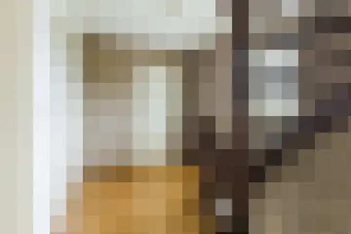 Wintereik 16 Best thumbnail 27