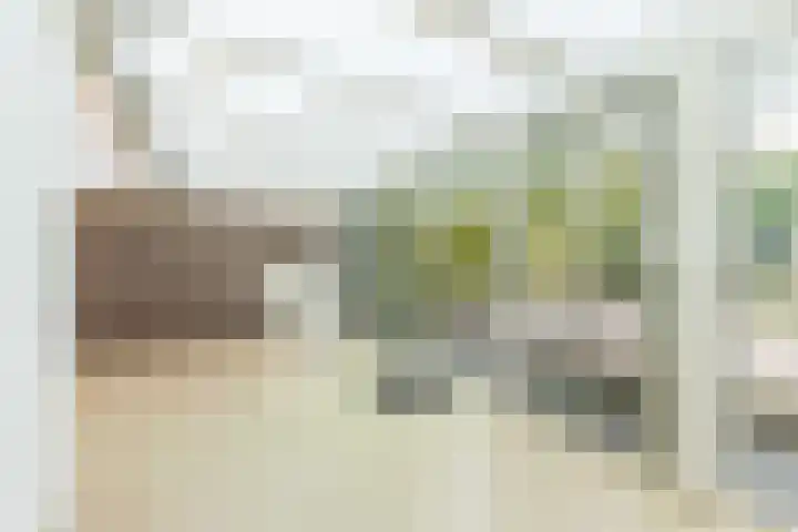 Wintereik 16 Best thumbnail 4