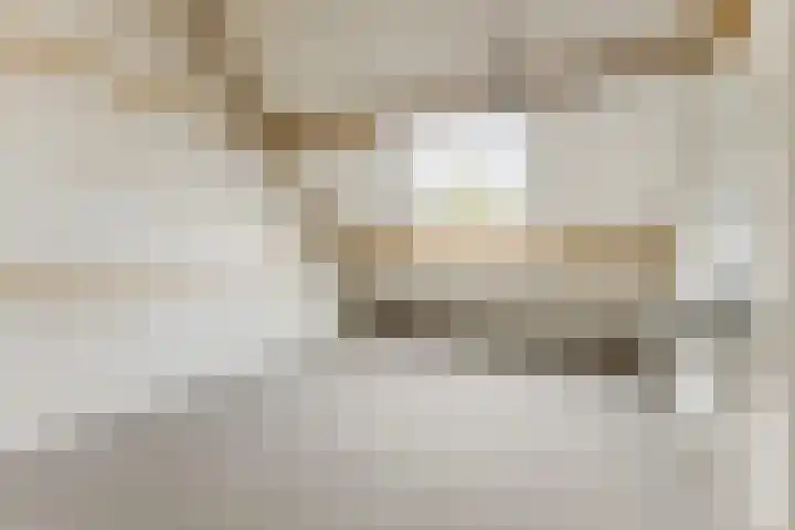 Wintereik 16 Best thumbnail 41
