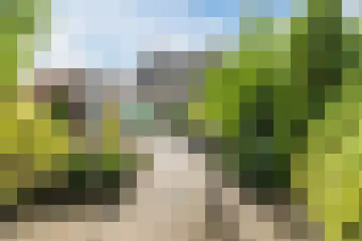 Wintereik 16 Best thumbnail 43