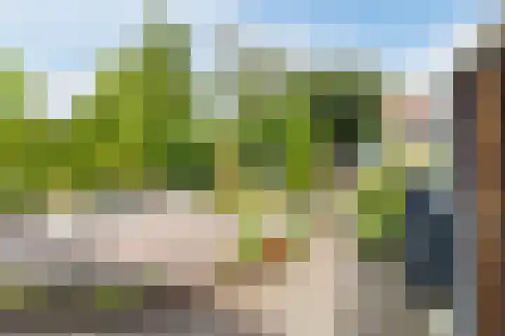 Wintereik 16 Best thumbnail 44