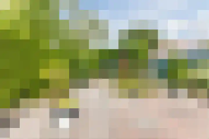 Wintereik 16 Best thumbnail 45