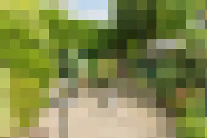 Wintereik 16 Best thumbnail 46