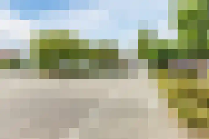 Wintereik 16 Best thumbnail 48