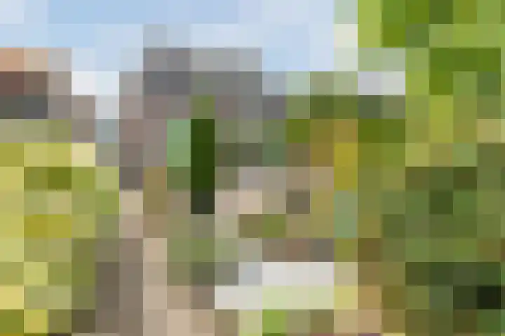 Wintereik 16 Best thumbnail 6