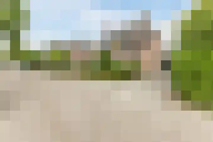 Wintereik 16 Best thumbnail 8