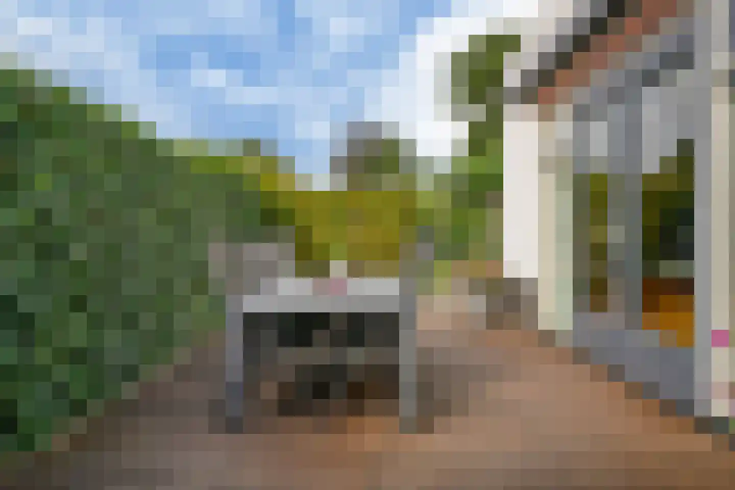 Wintereik 29 Heiloo thumbnail 45