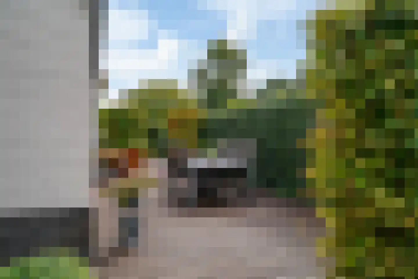 Wintereik 29 Heiloo thumbnail 47