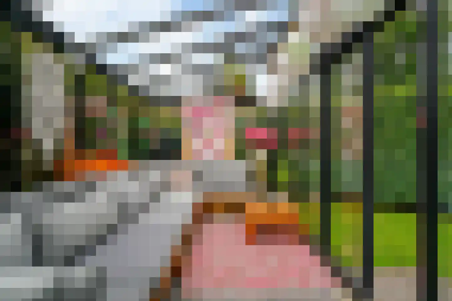 Wintereik 29 Heiloo thumbnail 55