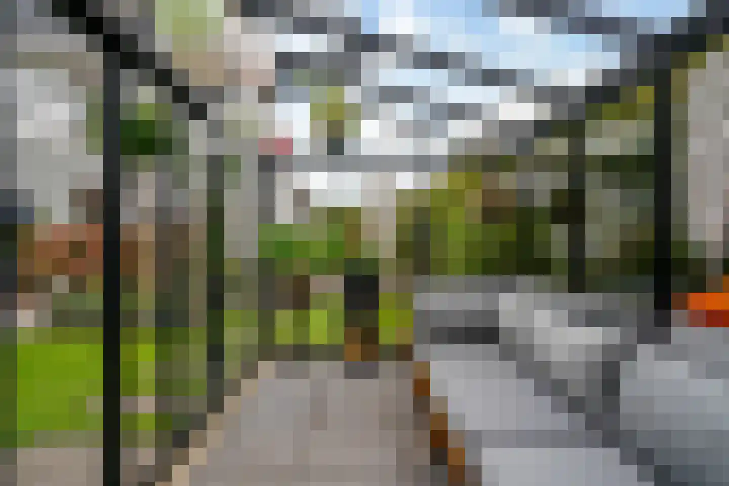 Wintereik 29 Heiloo thumbnail 57