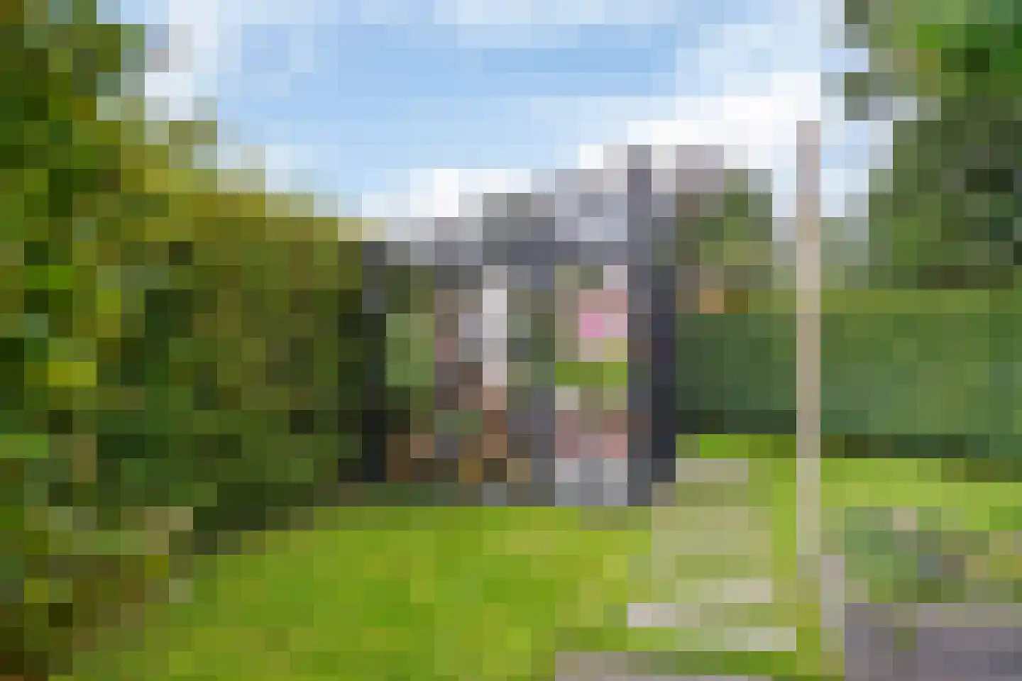 Wintereik 29 Heiloo thumbnail 58