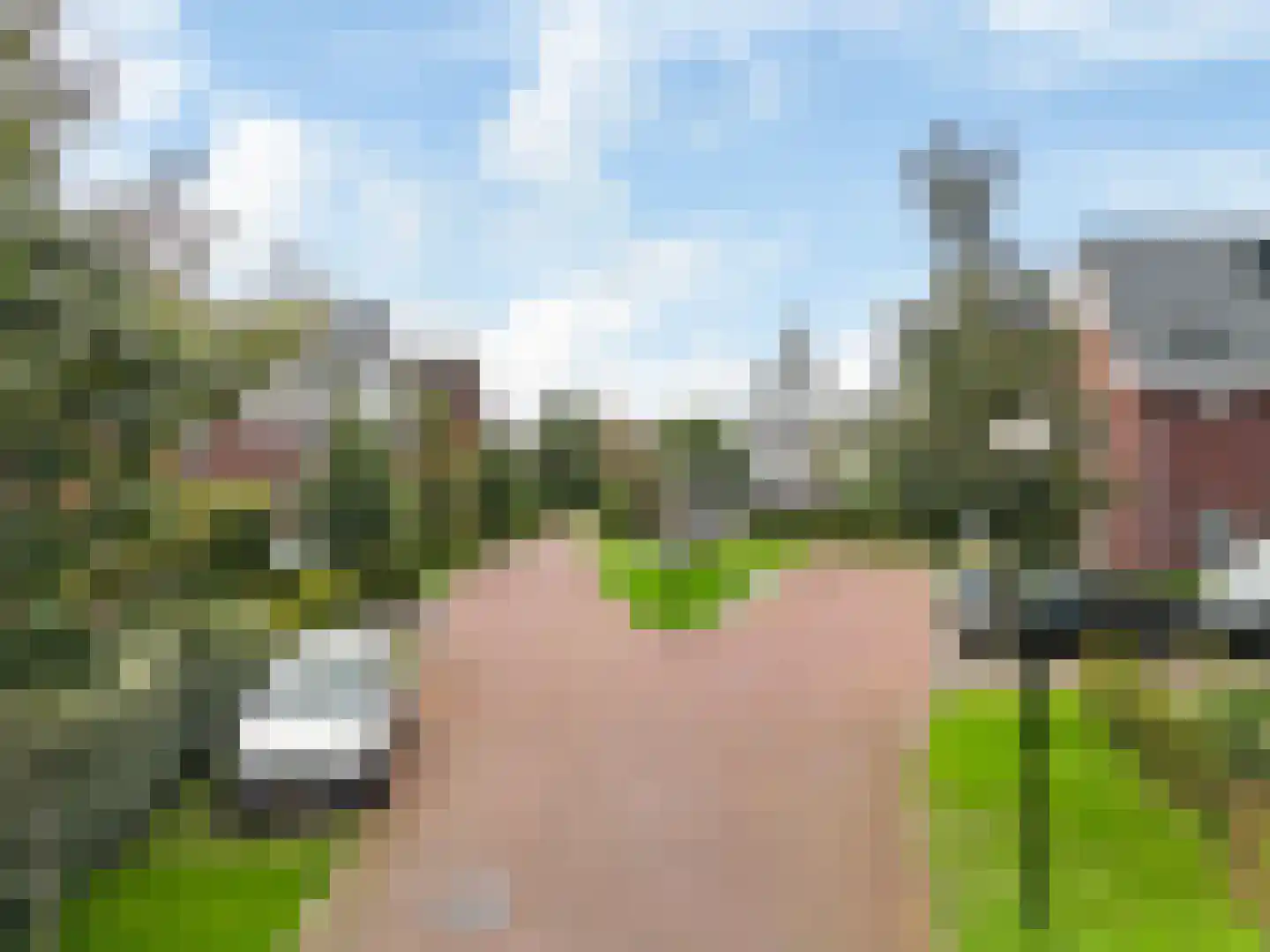 Wintereik 29 Heiloo thumbnail 7